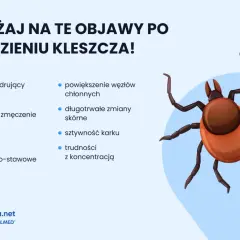 Co zrobić po ukąszeniu kleszcza? Uważaj na objawy: rumień, gorączkę, bóle głowy, zmęczenie, sztywność karku.