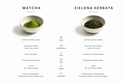 Porównanie matcha co to jest: drobny proszek, intensywny smak i kolor, wysoka kofeina vs. całe liście, łagodny smak, niższa kofeina.