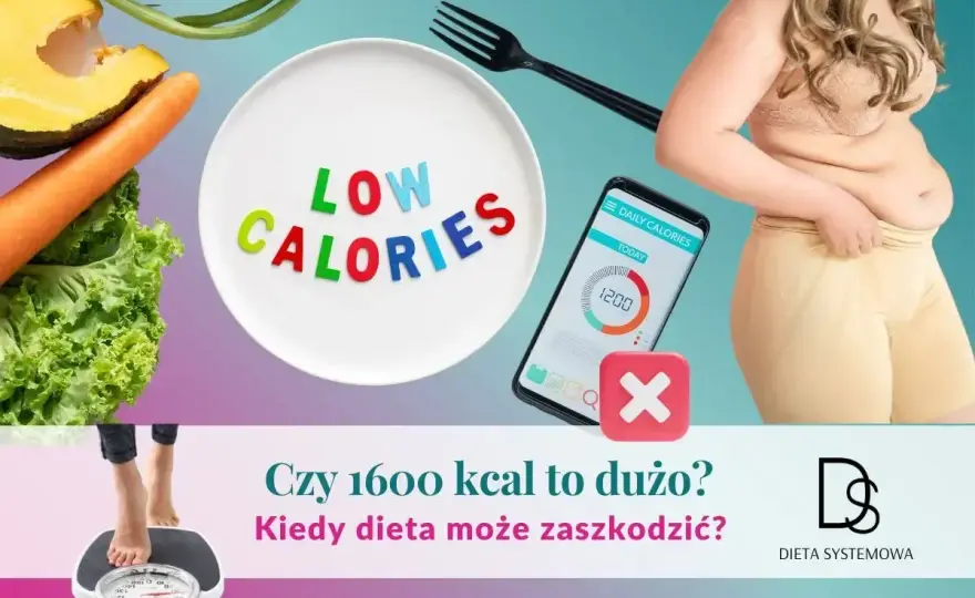 Co jeść na redukcji? Schudnij bez głodu - Proste zasady