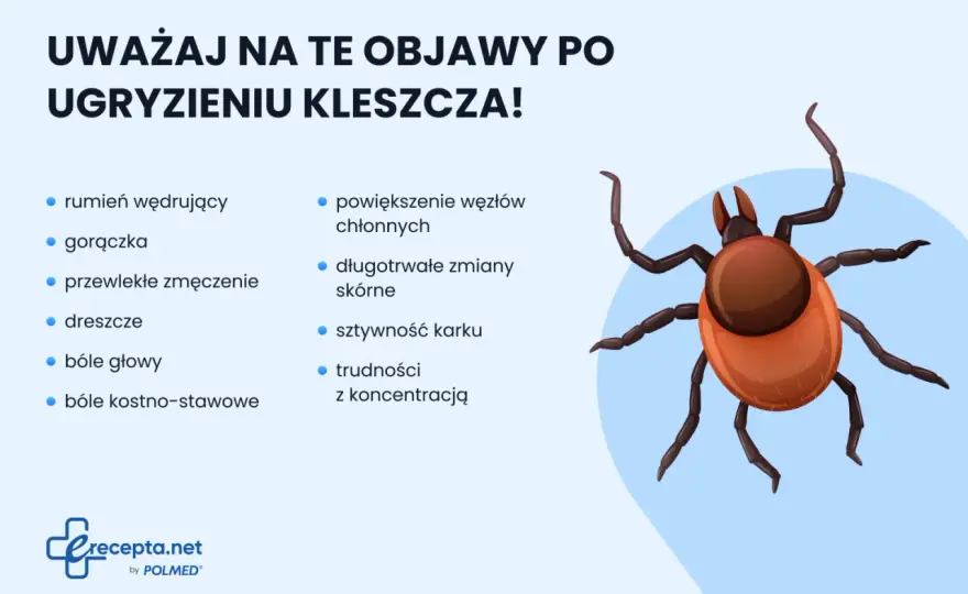 Ukąszenie kleszcza - co robić? Usuń go bezpiecznie!