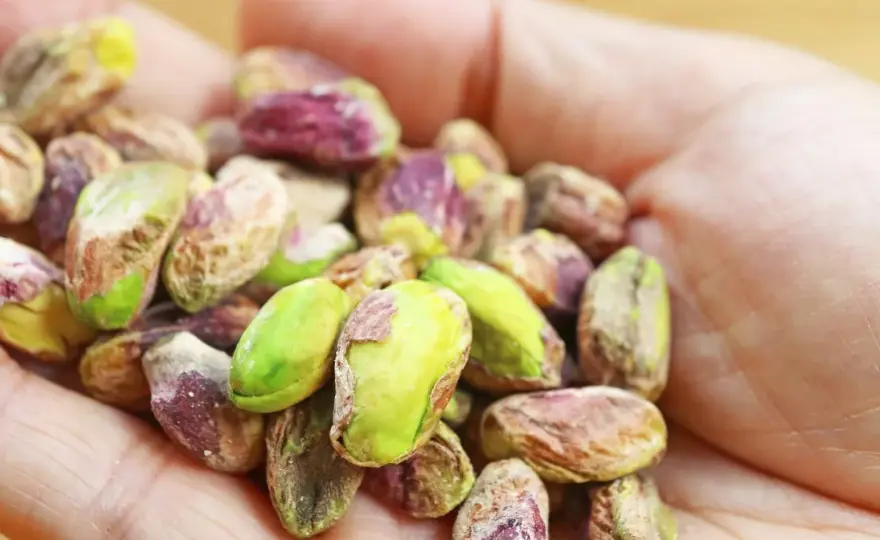 Pistacje – kalorie, odżywianie i jak jeść bez tycia