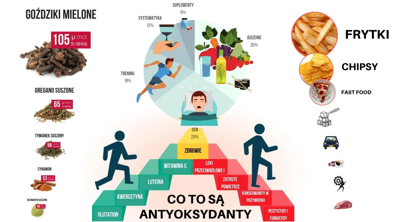 Co to są antyoksydanty? Grafika pokazuje źródła i czynniki wpływające na ich poziom: goździki, oregano, cynamon, sen, trening, jedzenie, suplementy.